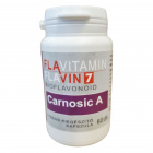 Flavitamin Carnosic A kapszula 60db Flavitamin Carnosic A kapszula 60db