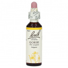 Bach Nr.13. Gorse virágesszencia 20ml Bach Nr.13. Gorse virágesszencia 20ml